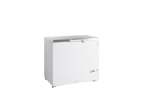 FR305S SL Ice Cream Freezer, Solid Lids