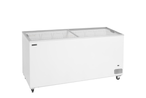 IC551SC Ice Cream Freezer